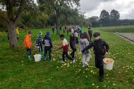 Apfelaktion_2022-23 (4)