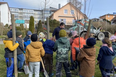 Baumpflanzaktion 3a_23-24 (1)