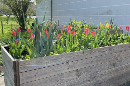 Frühling_23-24 (1)