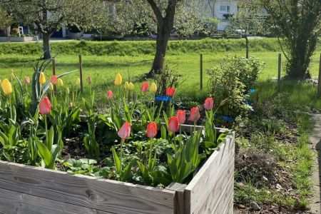 Frühling_23-24 (2)