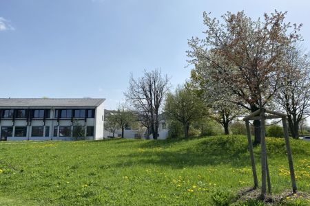 Frühling_23-24 (3)