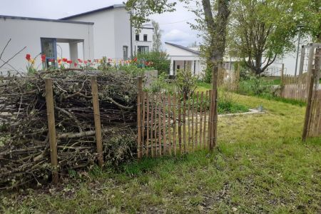 Frühling_23-24 (7)