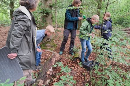 Natur-AG Juni_24-25 (1)
